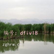 ʶ
